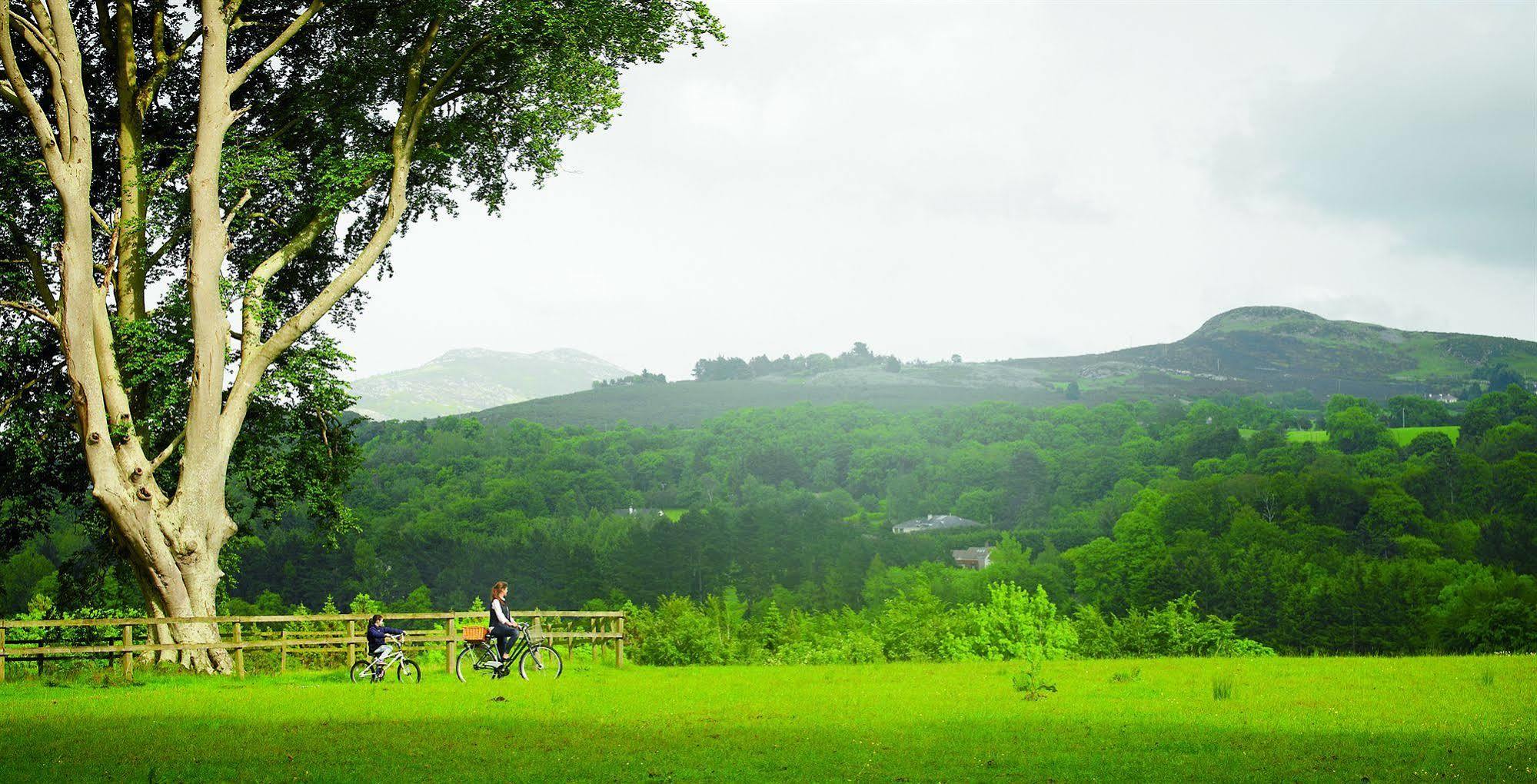Powerscourt Hotel, Autograph Collection Enniskerry Exteriör bild View of the Black Forest from the Kaiserstuhl